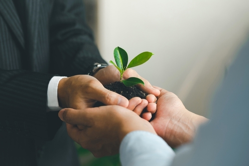 Naperville, IL business law attorney