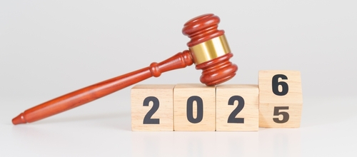 Naperville Business Law Attorney